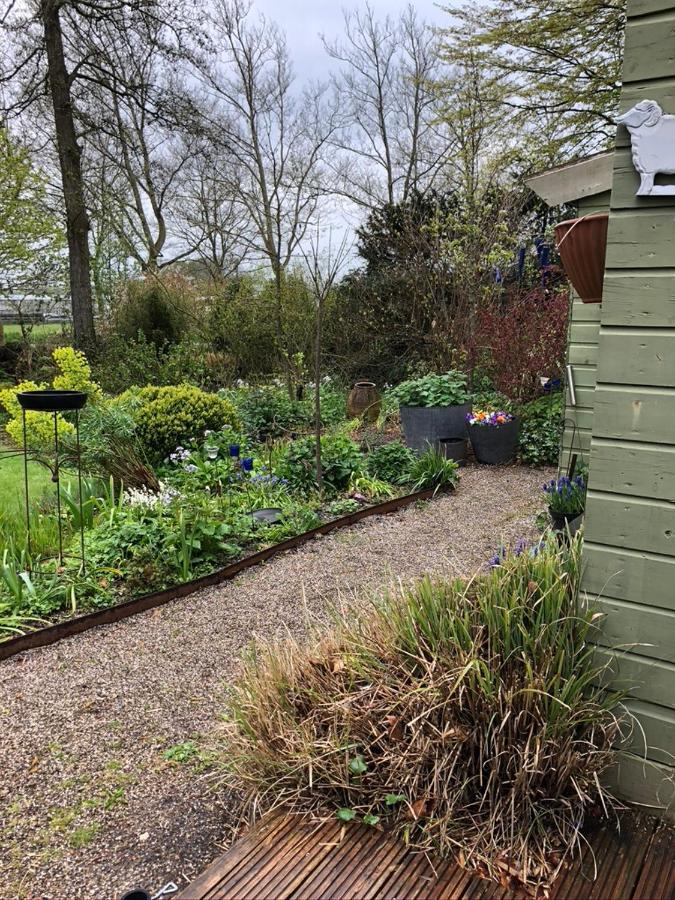 Beemster Tiny House Bed and Breakfast Zuidoostbeemster Exteriör bild