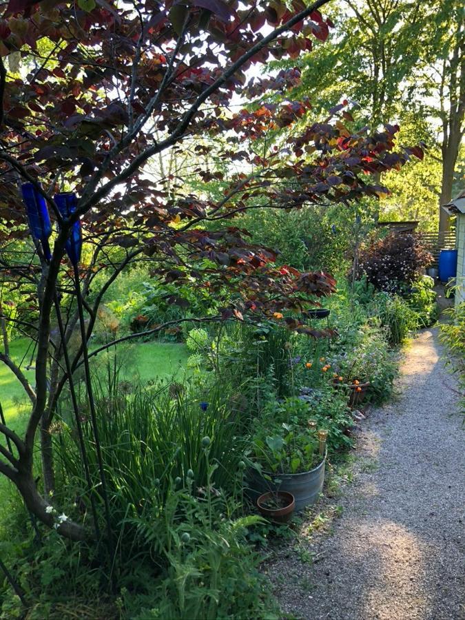 Beemster Tiny House Bed and Breakfast Zuidoostbeemster Exteriör bild