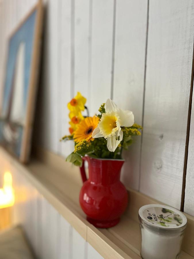 Beemster Tiny House Bed and Breakfast Zuidoostbeemster Exteriör bild
